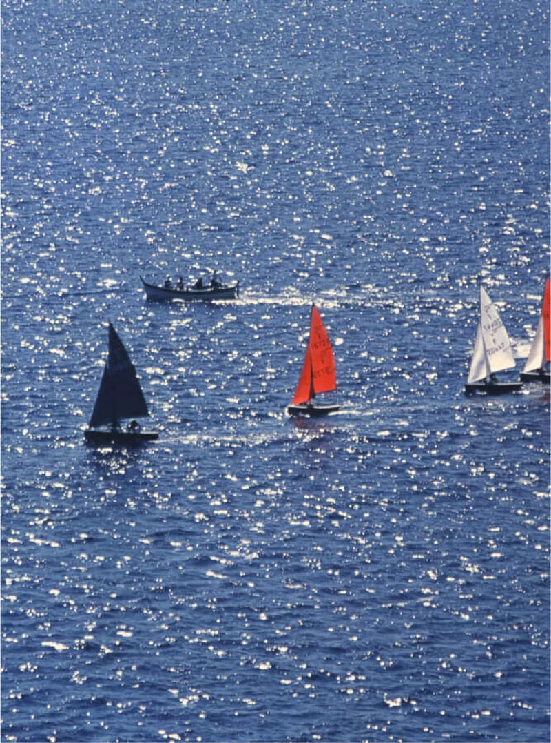Gara di vela ripresa dall'alto