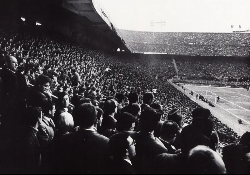 Tifosi assistono ad una partita di calcio